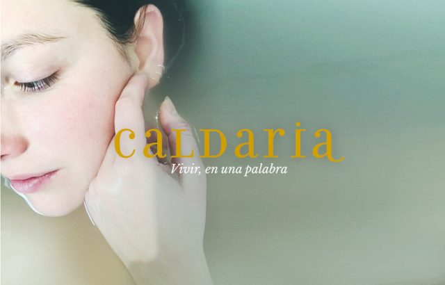 01B_Caldaria